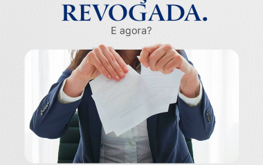 Carrossel - Artigo 14 2205 1